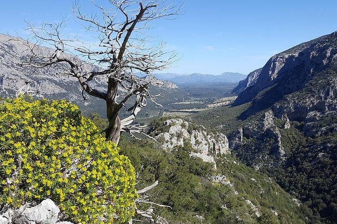 Tiscali mount guided hike - The Guide Makes or Breaks This Day (and Timing Can Matter)