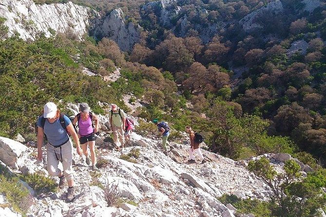 Tiscali mount guided hike - Practical Tips So You Enjoy Every Part of the Walk