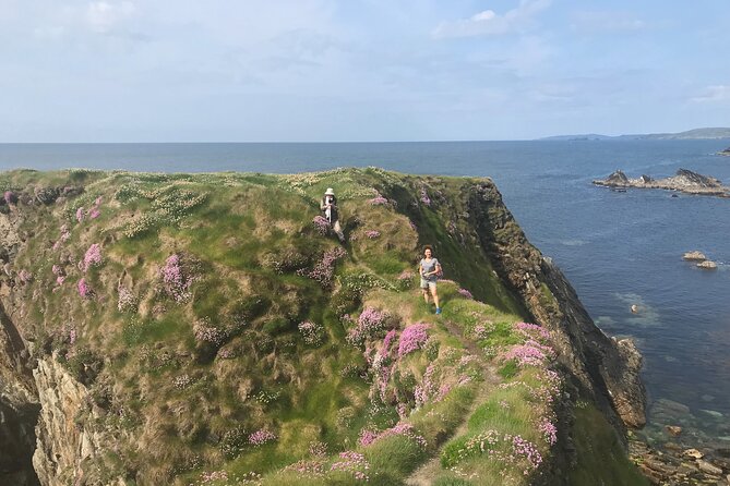 Toe Head Clifftop Hike in West Cork - Price and value: what $60.07 really covers