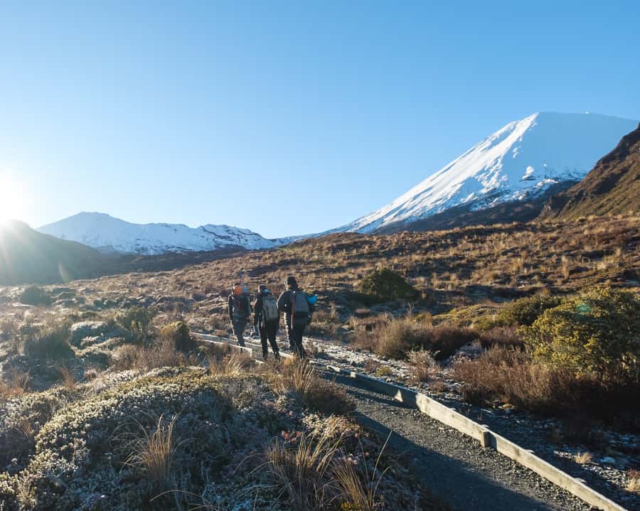 Tongariro Alpine Crossing: Premium Guided Hike - Key highlights I’d bet on