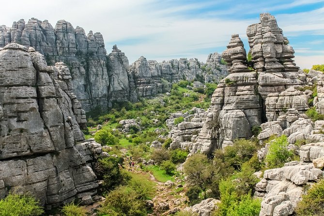 Torcal de Antequera Hiking Tour from Málaga - Getting there from Málaga: the 8:30 start and the comfy van