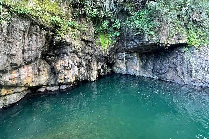 Toro Negro River Hike & Cliff Jumping Adventure; San Juan Pick Up - Getting Out of San Juan Without Losing Comfort