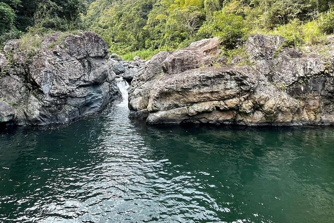 Toro Negro River Hike & Cliff Jumping Adventure; San Juan Pick Up - Toro Negro State Forest: The Rocky Rainforest River Time