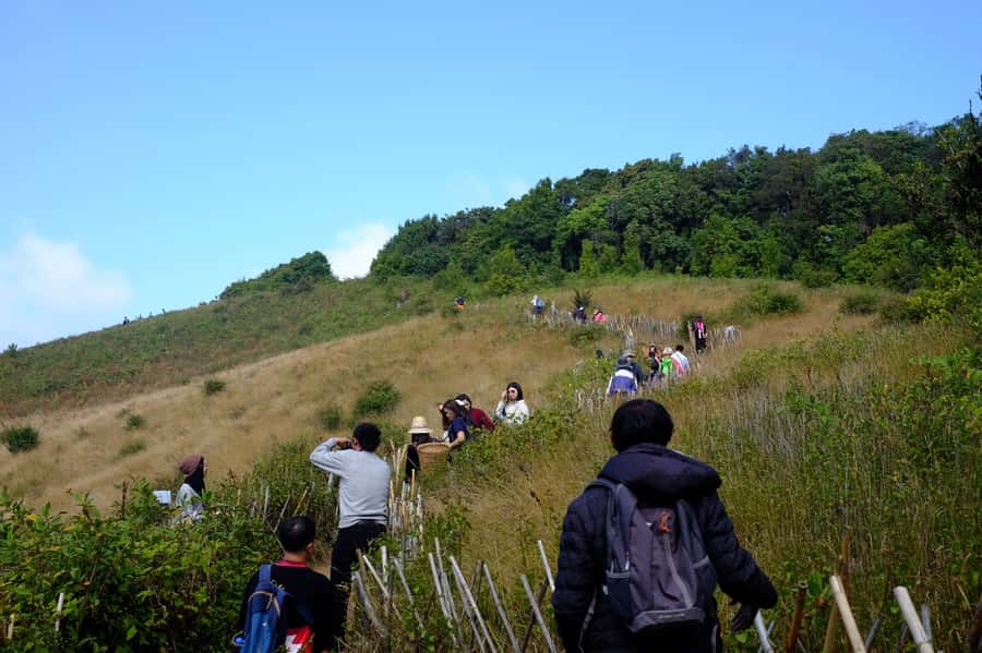 Tour with Hike in Kiew Mae Pan Natural Trail from Chiang Mai - Key Things That Make This Hike Work