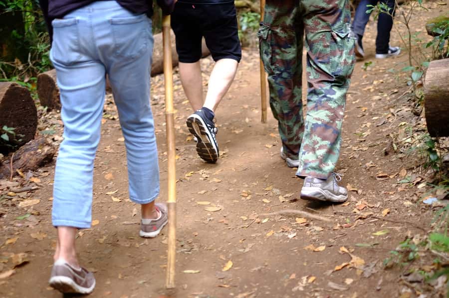 Tour with Hike in Kiew Mae Pan Natural Trail from Chiang Mai - Wachirathan Waterfall and Karen Village: More Than a Photo Stop
