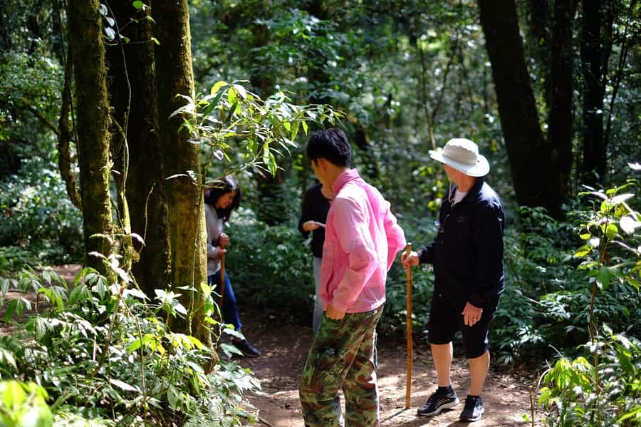 Tour with Hike in Kiew Mae Pan Natural Trail from Chiang Mai - Timing, Pace, and What to Bring (So You Stay Comfortable)