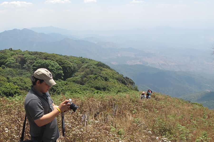 Tour with Hike in Kiew Mae Pan Natural Trail from Chiang Mai - Price and Value: Does $112 Make Sense?