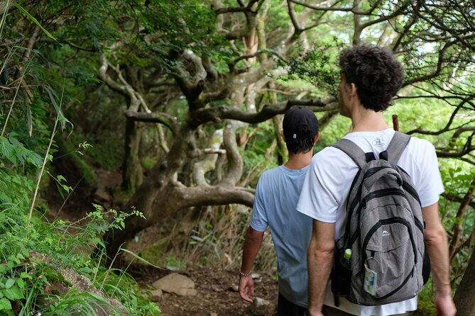 Traverse Outer Rim of Hakone Caldera and Enjoy Onsen Hiking Tour - The top and ridge walk at Mt. Marudake: the payoff section