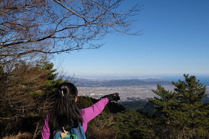 Traverse Outer Rim of Hakone Caldera and Enjoy Onsen Hiking Tour - Lake Ashinoko area: a short lower reset