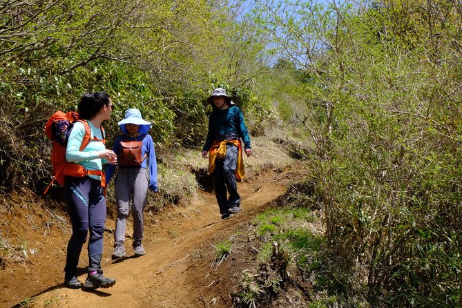 Traverse Outer Rim of Hakone Caldera and Enjoy Onsen Hiking Tour - Togendai Station area lunch: where to refuel for the onsen