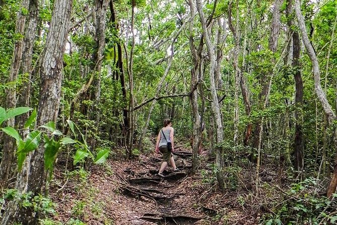 Trek Tours Hiking Experience in Antigua - What happens on the trail: views, plants, birds, and pace control