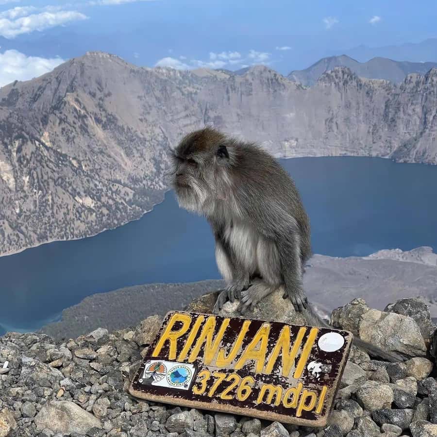trekking mount rinjani summit join in group tour - The Rinjani Summit in 2 Days: What You’re Really Buying