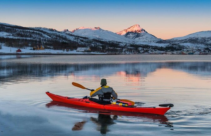 Tromsø: Arctic Landscapes Hiking / Snowshoeing Tour in the wild - Key highlights to know before you go