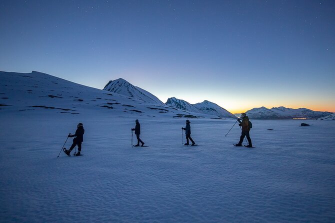 Tromsø: Arctic Landscapes Hiking / Snowshoeing Tour in the wild - Magic Ice Bar meets the wild: how the day gets shaped