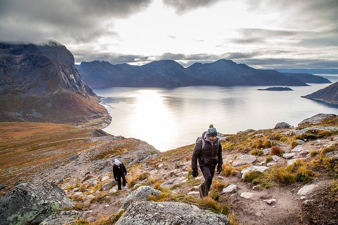 Tromsø: Arctic Landscapes Hiking / Snowshoeing Tour in the wild - Who should book this Tromsø snowshoeing tour?