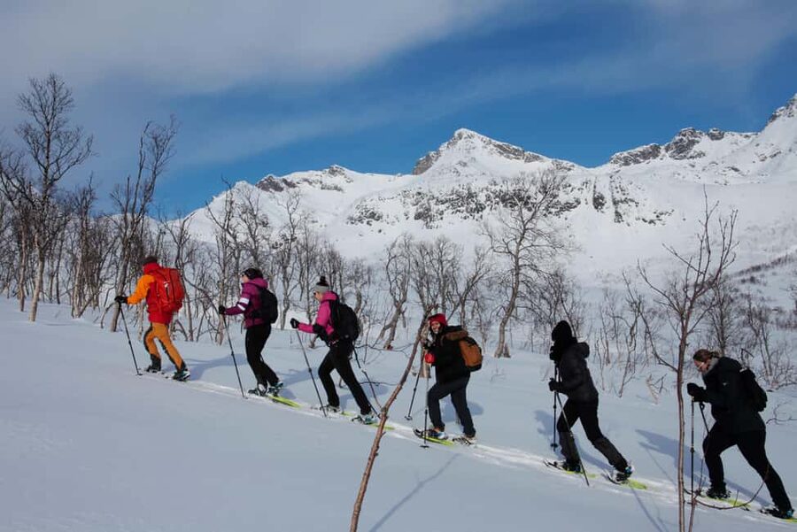 Tromsø: Guided snowshoe hill hike - What’s included versus what you’ll need to bring
