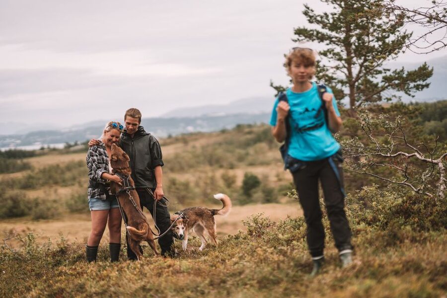 Tromsø: Husky Hike and Puppy Visit with Traditional Lunch - Meeting the Puppies: Cuteness With Real Structure