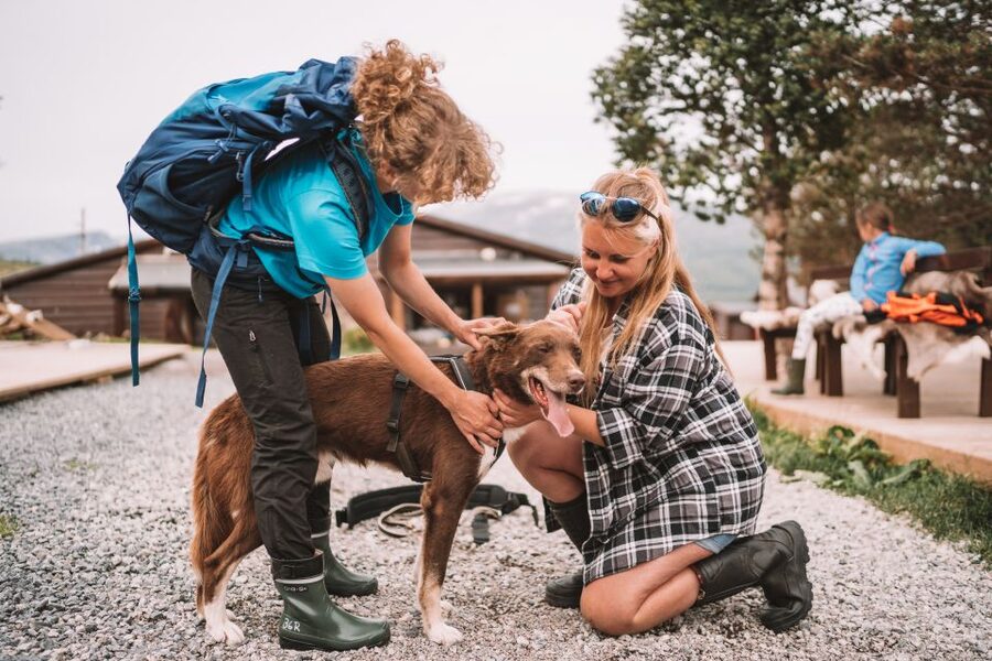 Tromsø: Husky Hike and Puppy Visit with Traditional Lunch - Who Should Book This Husky Hike in Tromsø