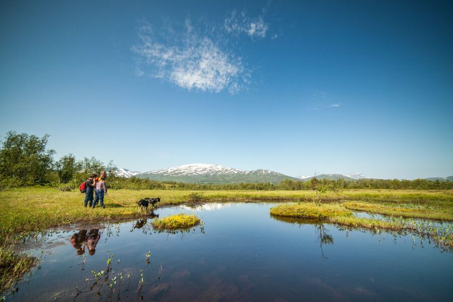 Tromsø: Husky Hike and Puppy Visit with Traditional Lunch - Tips That Make a Big Difference on Day-of