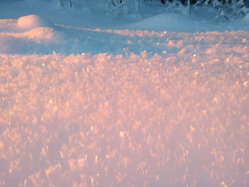 Tromsø Street to Wilderness: Guided Snowshoe Hike - How to Dress for Tromsø Cold (So the Hike Stays Fun)