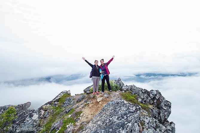 Tromsø: Summer Day Hike with Wandering Owl - The ride back and the photo follow-up
