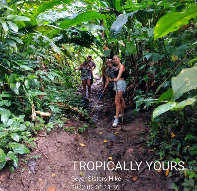 "Tropically Yours" Waterfall Nature Hike. - St. George’s Capital City: Fort Views, Fish-Scale Roofs, and the Port Louis Story