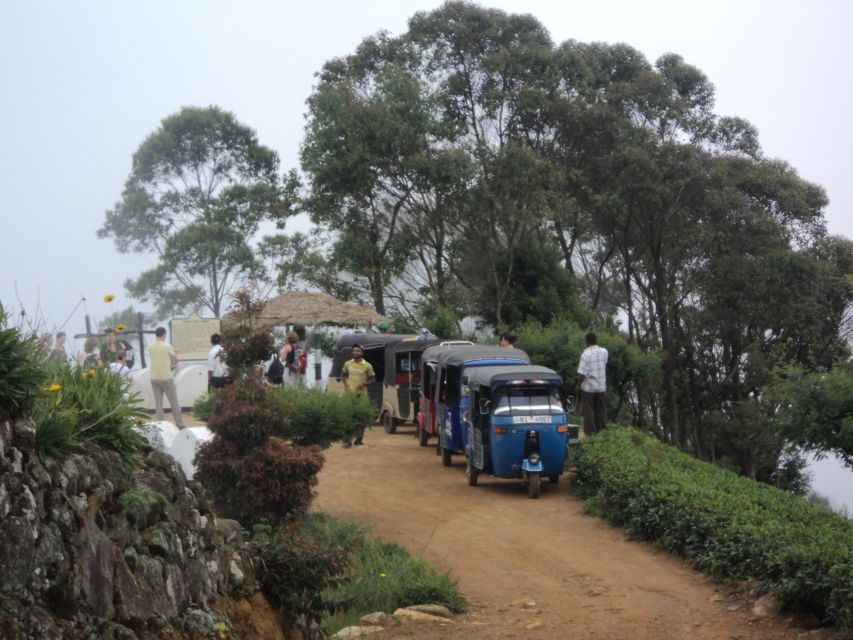 Tuk-Tuk Safari Liptons seat,Tea Fields Hike,TeaFactory Tour - Who should book this tuk-tuk tea day trip