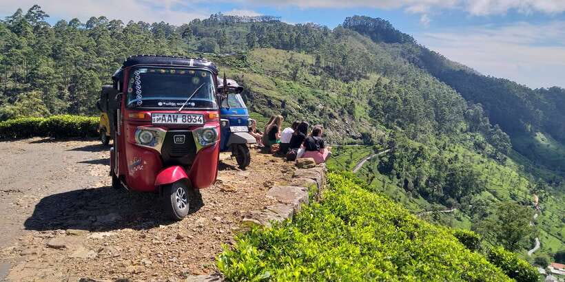 Tuk-Tuk Safari Liptons seat,Tea Fields Hike,TeaFactory Tour - Tea Fields Hike: how walking the plantation makes tea feel real