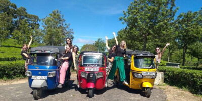 Tuk-Tuk Safari Liptons seat,Tea Fields Hike,TeaFactory Tour - From Ella pickup to Lipton Seat: the view stop that frames the whole day