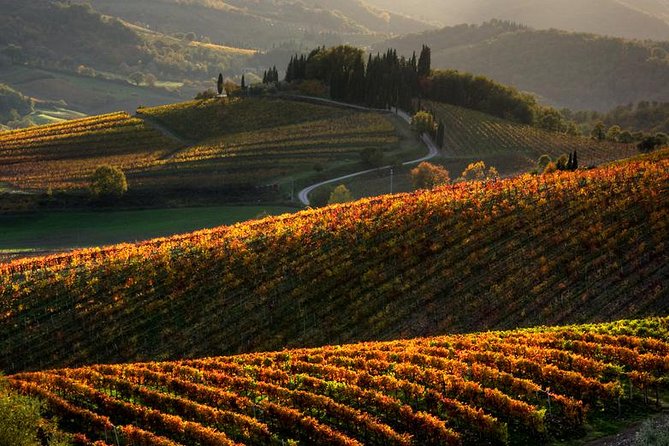 Tuscany Hiking Tour from Siena Including Wine Tasting - From Siena FS to the trail: how the first hour works