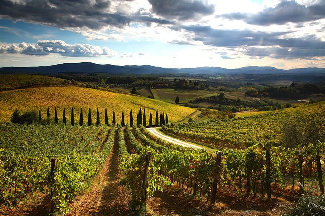 Tuscany Hiking Tour from Siena Including Wine Tasting - Via Francigena hike: history on your feet, plants along the way