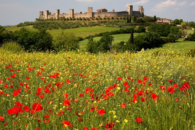 Tuscany Hiking Tour from Siena Including Wine Tasting - Price and value: what $72.56 buys you in real terms