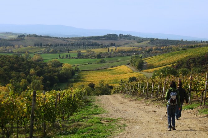Tuscany Hiking Tour from Siena Including Wine Tasting - Practical tips so the day feels smooth