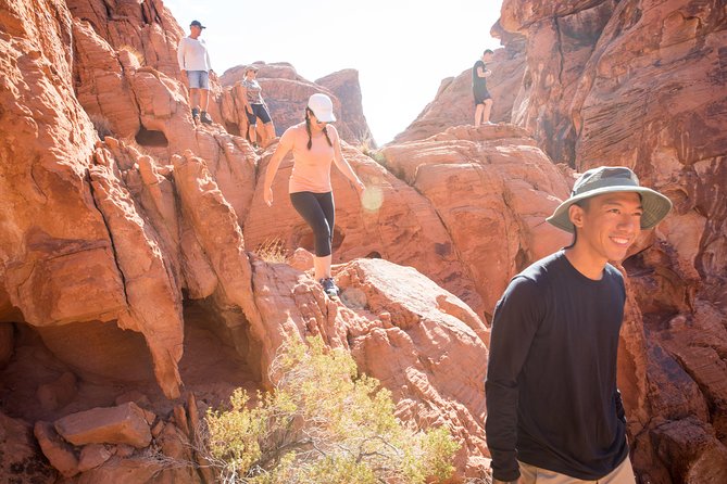 Valley of Fire Guided Hike from Las Vegas - Valley of Fire: the close-to-Vegas nature fix