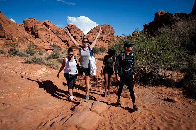 Valley of Fire Guided Hiking Tour and Mojave Desert Adventure - Key highlights you’ll care about