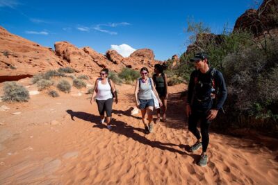Valley of Fire Guided Hiking Tour and Mojave Desert Adventure - Valley of Fire State Park sign stop: photos and a quick orientation