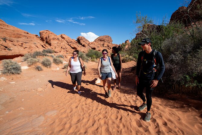 Valley of Fire Guided Hiking Tour and Mojave Desert Adventure - Valley of Fire State Park sign stop: photos and a quick orientation