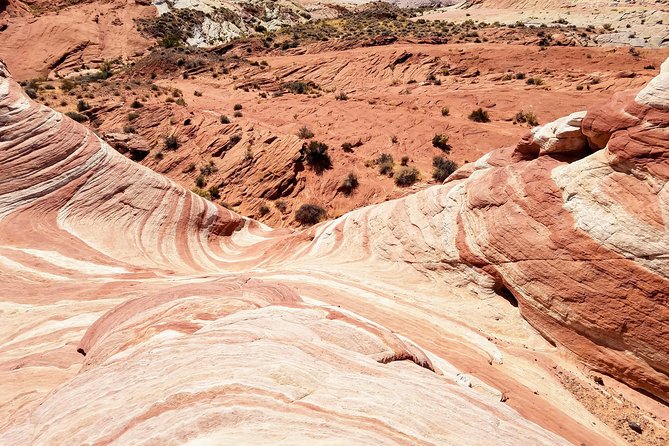 Valley of Fire Guided Hiking Tour From Las Vegas - Guide and small-group size: why max 14 matters on desert trails