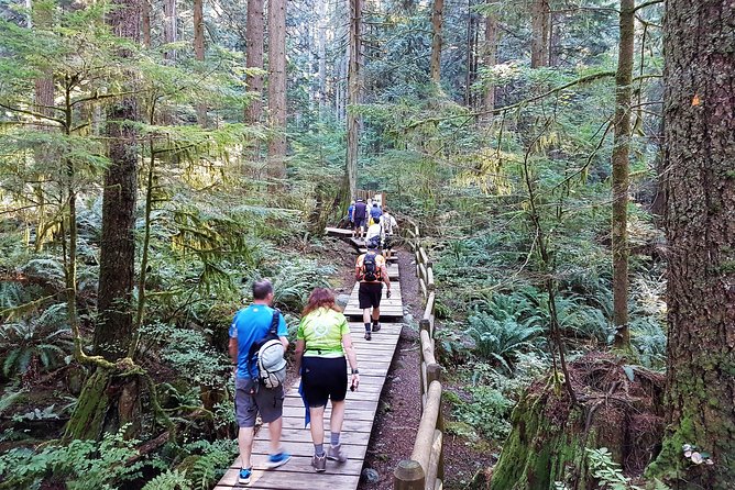 Vancouver Biking and Hiking Tour including Lunch - Golden Ears and Pinecone Burke View Stretch: What to Expect From the Ride