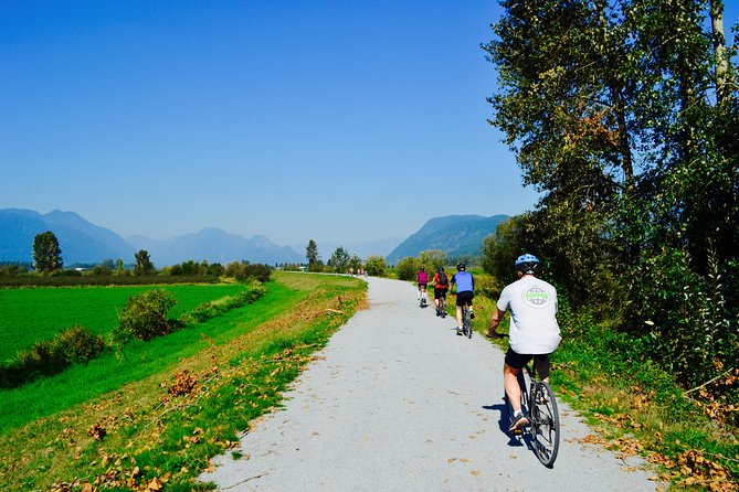 Vancouver Biking and Hiking Tour including Lunch - Lynn Canyon Park: The 150-Foot Suspension Bridge Moment