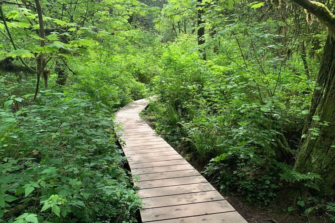 Vancouver Rainforest Hike with Waterfalls, Suspension Bridge, Old Growth Forest - Lynn Canyon Park and Twin Falls: the walk gets more intimate