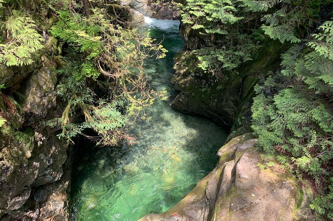 Vancouver Rainforest Hike with Waterfalls, Suspension Bridge, Old Growth Forest - Stairs, hills, and the real fitness test