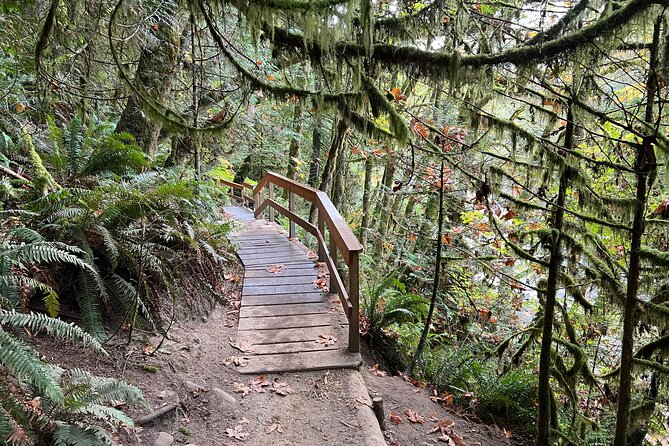 Vancouver Rainforest Hike with Waterfalls, Suspension Bridge, Old Growth Forest - Wildlife spotting and photo moments that don’t feel staged