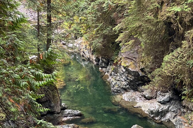 Vancouver Rainforest Hike with Waterfalls, Suspension Bridge, Old Growth Forest - Lions Gate Bridge: why the transfer matters