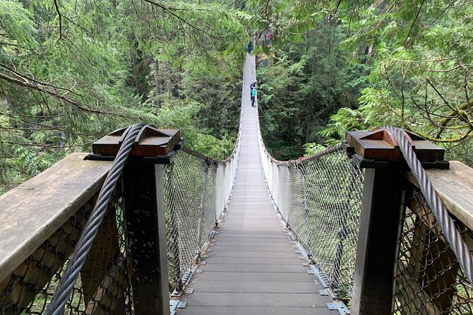 Vancouver Rainforest Hike with Waterfalls, Suspension Bridge, Old Growth Forest - Lynn Canyon Suspension Bridge: your first big nature hit