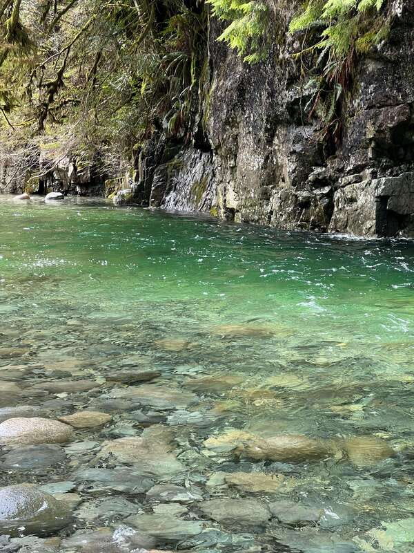Vancouver: Rainforest Waterfall Hike and Suspension Bridge - Key Highlights You’ll Care About