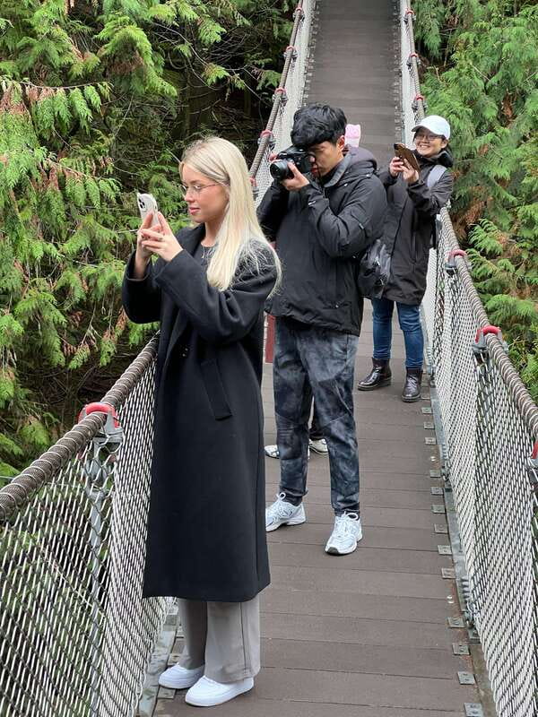 Vancouver: Rainforest Waterfall Hike and Suspension Bridge - The Stairs and Elevation Factor: How Hard Is It?