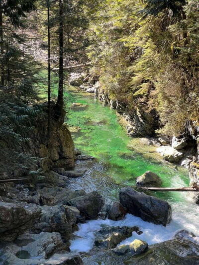 Vancouver: Rainforest Waterfall Hike and Suspension Bridge - Walking Through Waterfalls, Crystal Pools, and Old-Growth Forest
