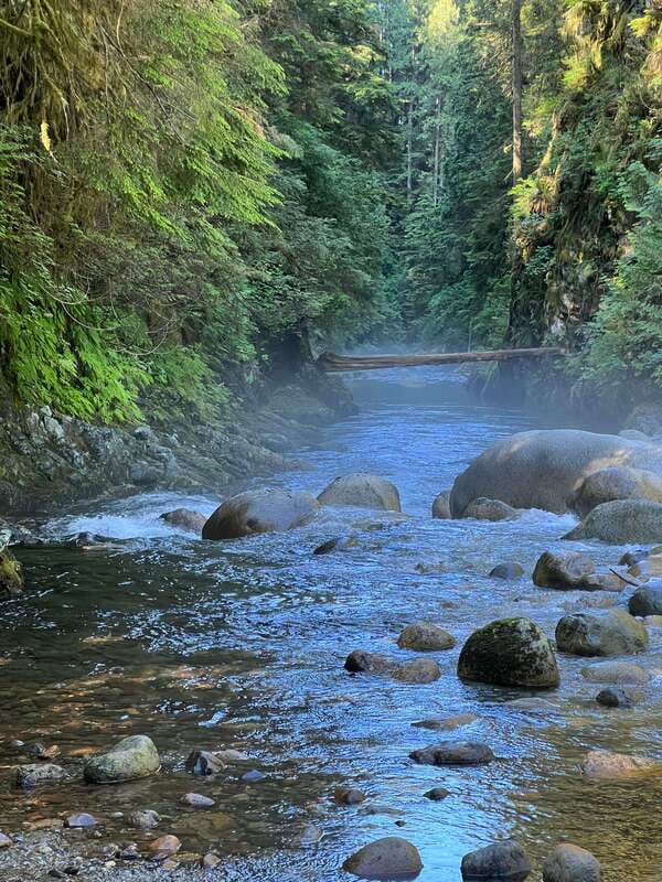 Vancouver: Rainforest Waterfall Hike and Suspension Bridge - Suspension Bridge Crossing: Safe Thrill and Photo Timing