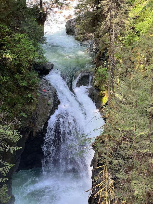 Vancouver: Rainforest Waterfall Hike and Suspension Bridge - Who This Hike Fits Best (and Who Should Skip It)